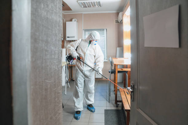 Best Post-Remediation Verification Testing  in White City, OR